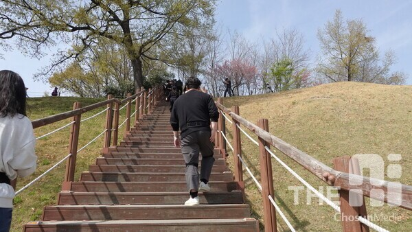 업로드 이미지